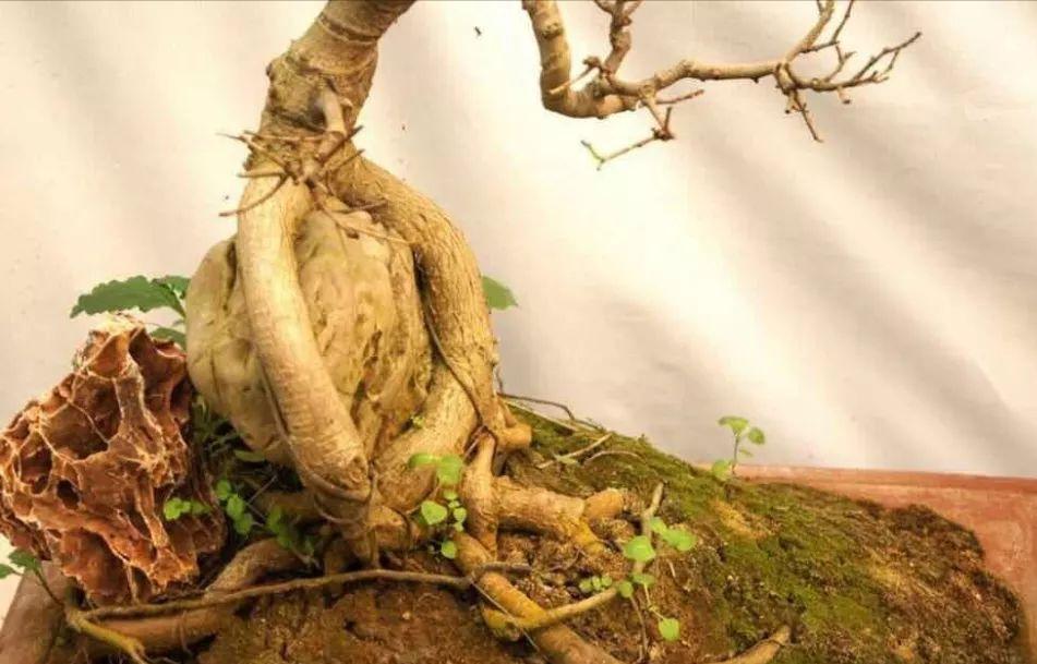 《浪子情怀》诗歌集少女篇6、Lookformyownseason寻找自己的季节