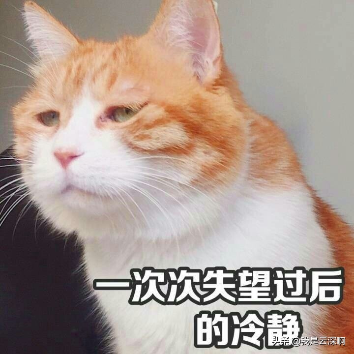 香水是智商税,香水智商税