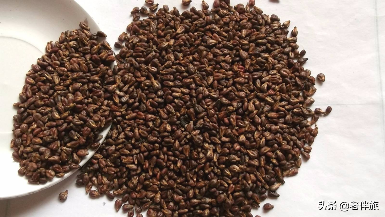 抗癌保健品十大骗局,哪种保健品公认抗衰老