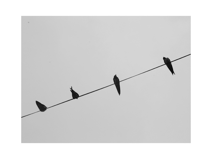 2017米拍十佳摄影师,2023米拍摄影奖名单