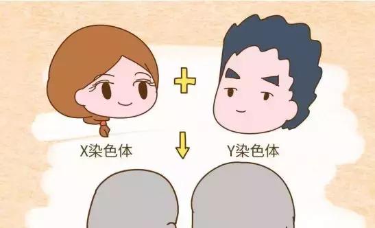 你还相信酸儿辣女吗,如何帮助孩子走出性别认识误区