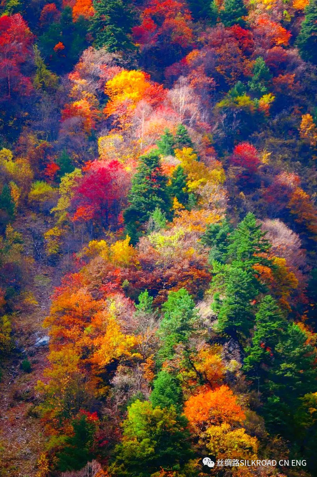 羊茸哈德藏寨攻略,羊茸哈德中国最美藏寨门票特价
