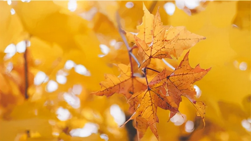 冬季供暖二次供水温度,供热管道充水时间多久