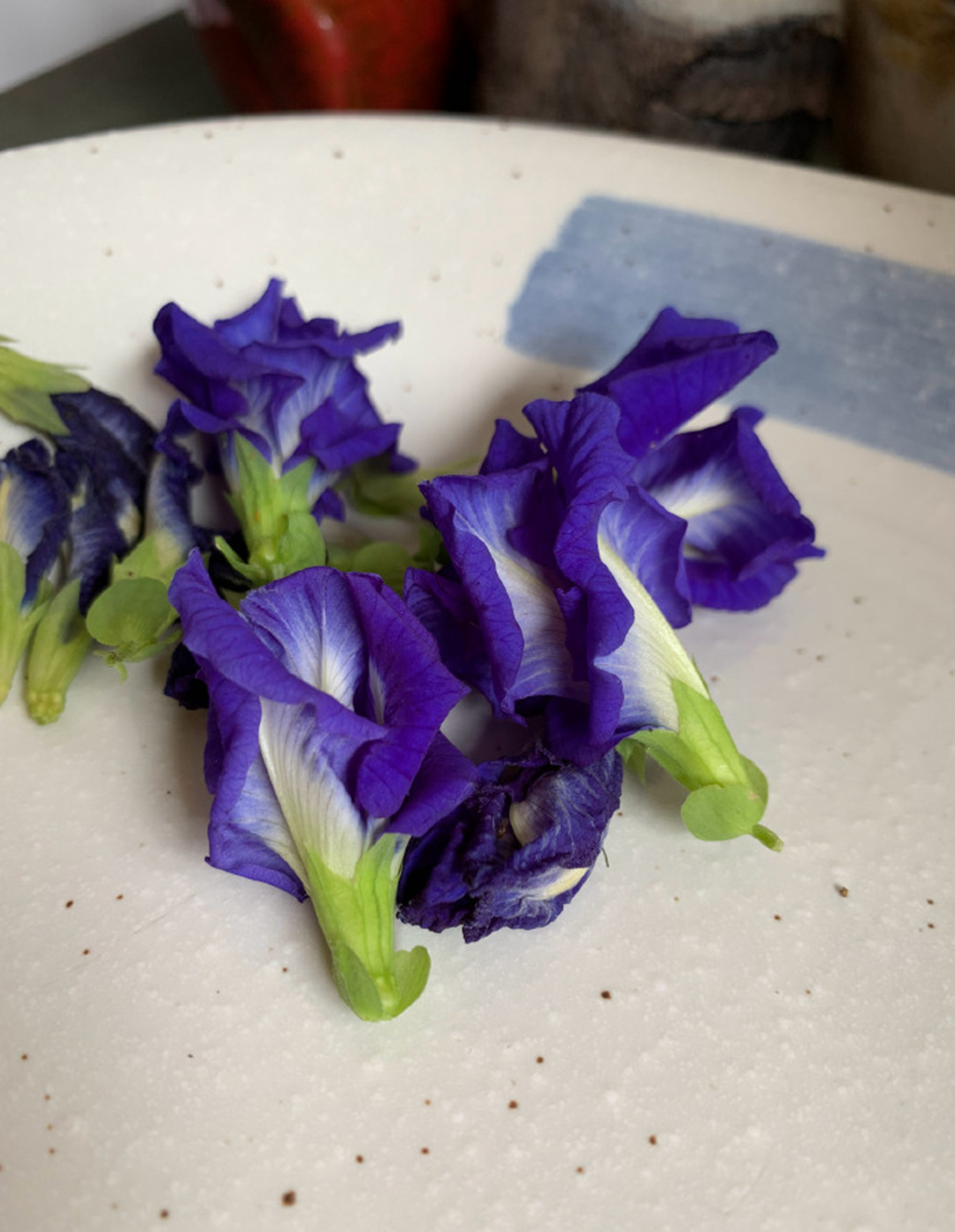 用丝瓜叶子把白T染成最近流行的牛油果绿