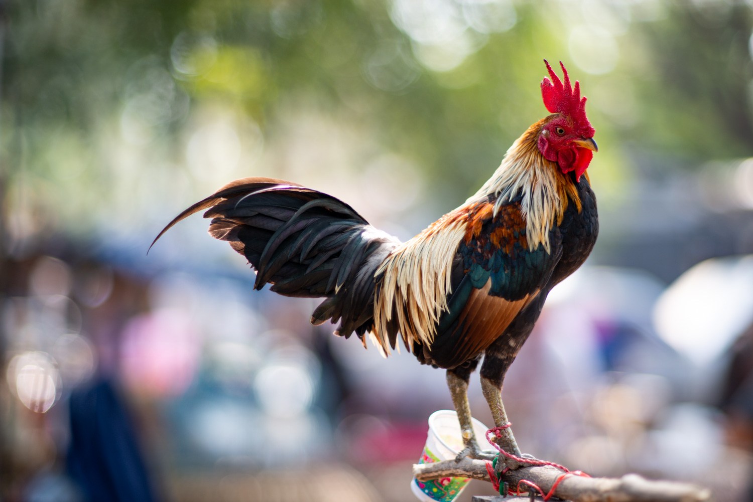 摄影常见错误,摄影十大错误方法