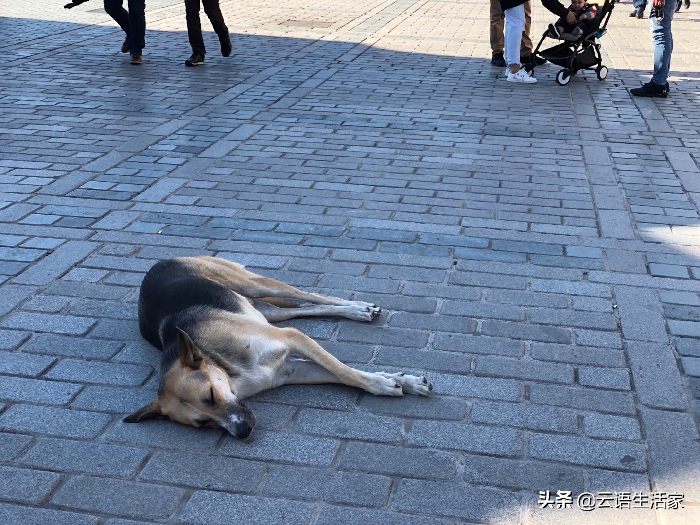 远走土耳其，我在星月之国上天入海（三）