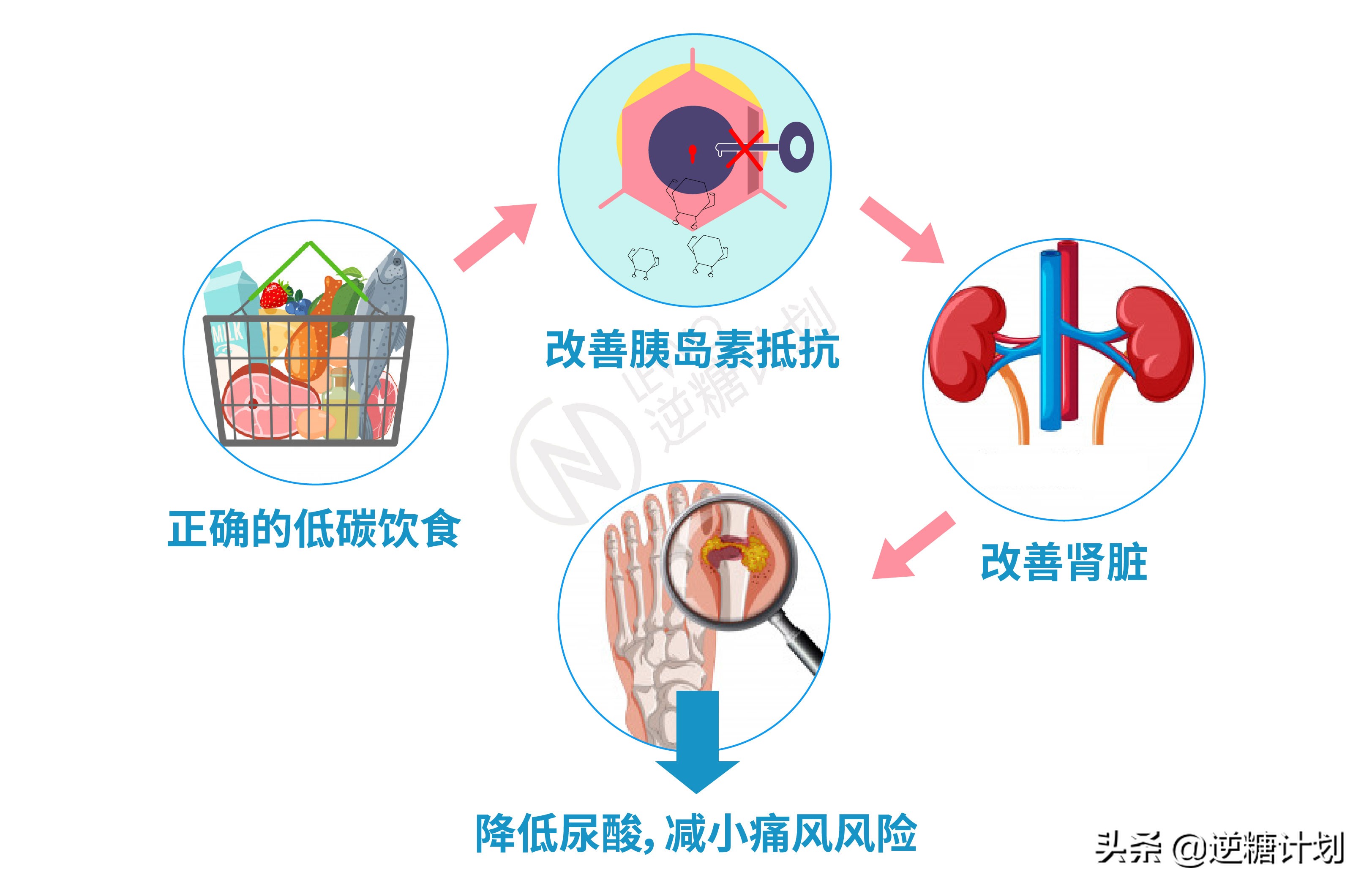 低碳饮食引起痛风能恢复吗,低碳饮食尿酸升高会痛风么