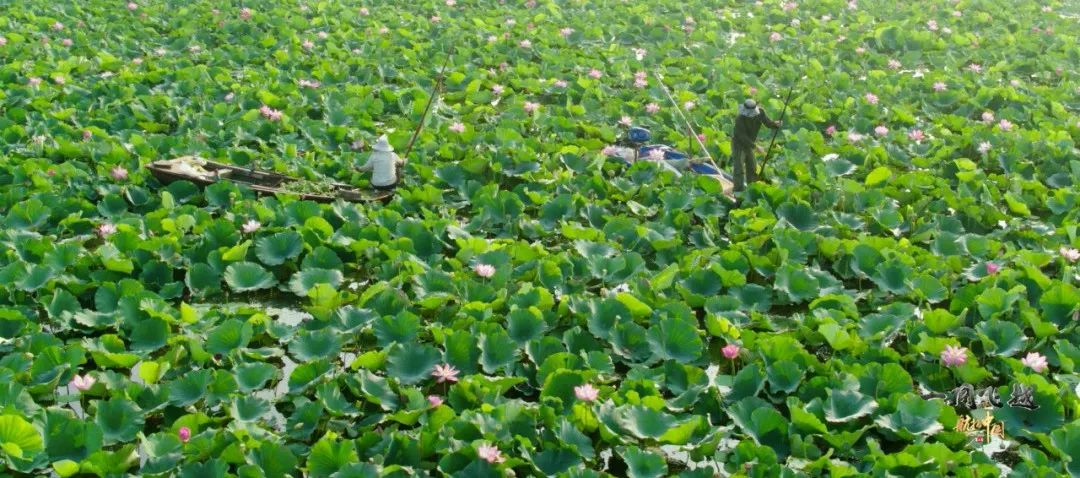 山东这五处绝美景区，藏着的不仅仅是诗与远方，还有……