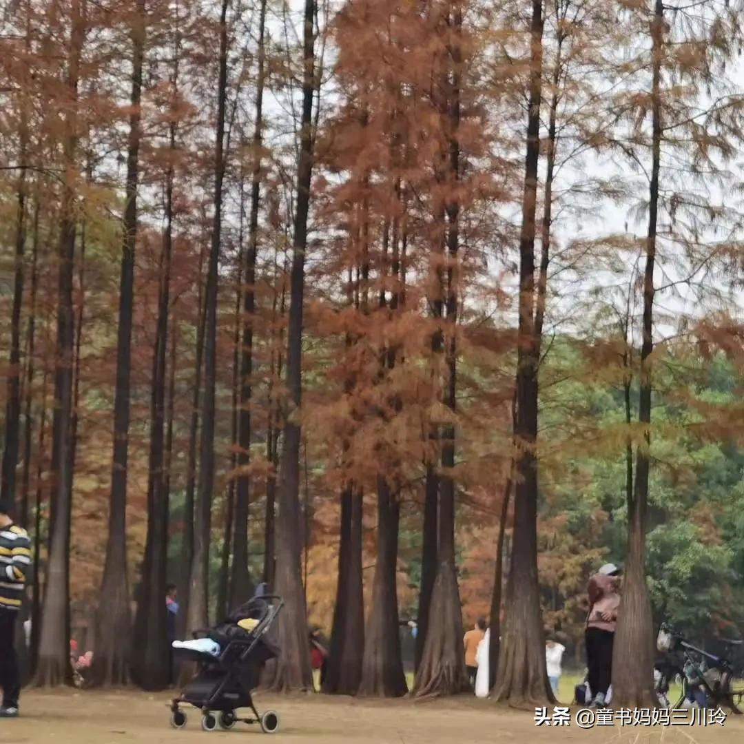 一个广州妈妈的10年“遛娃”经验分享,看完好想带孩子出去玩