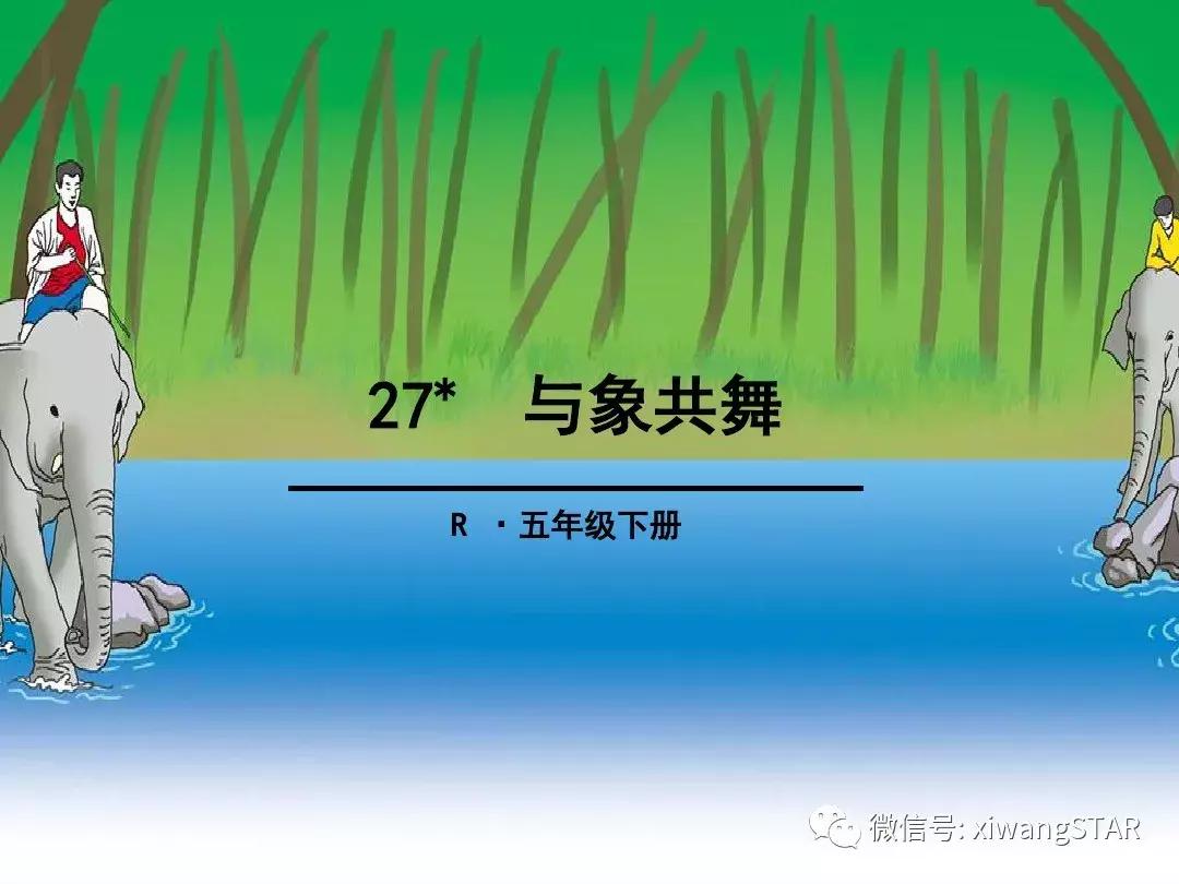 与象共舞语文五年级下册老版,五年级下册与象共舞阅读