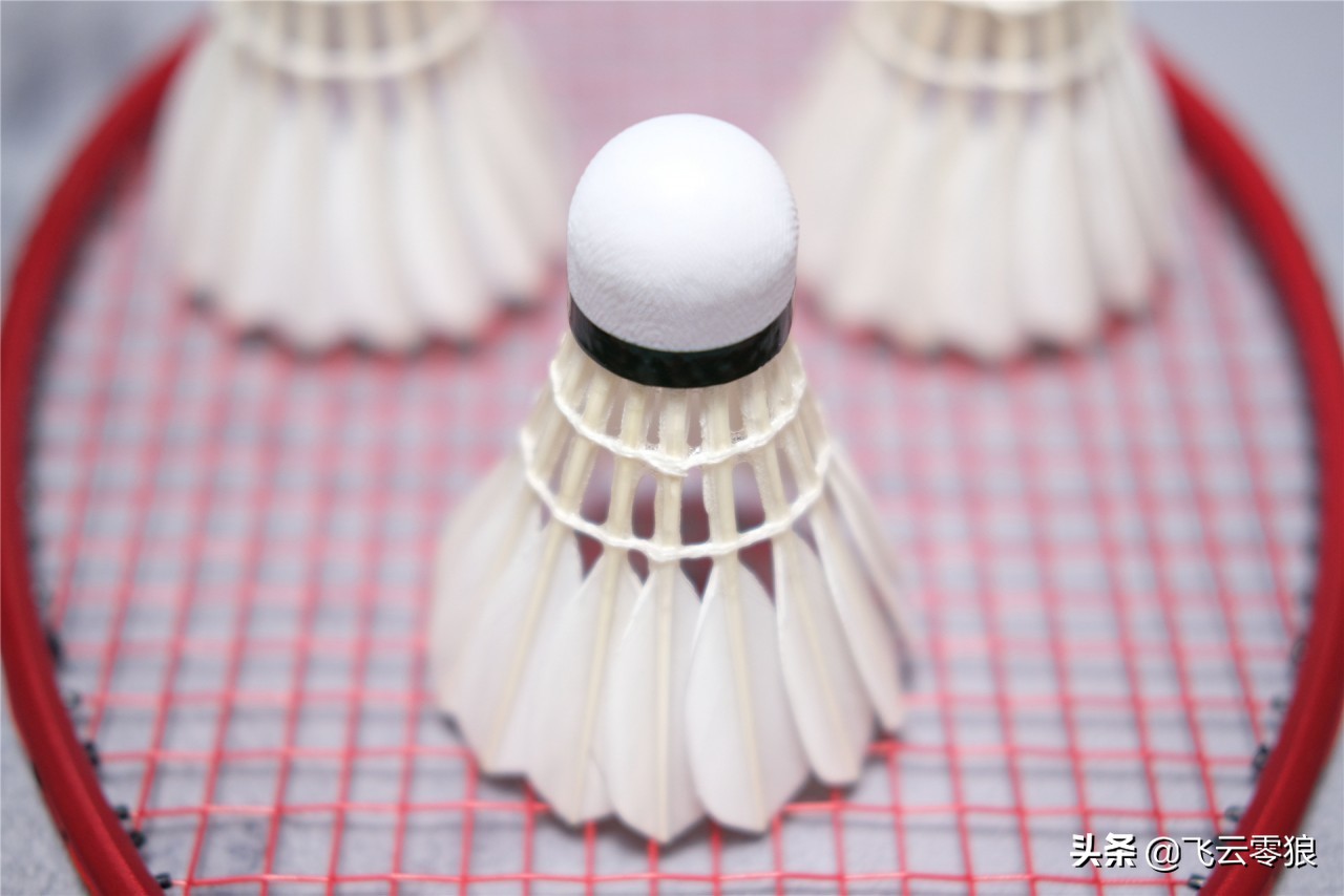 「中羽在线飞云零狼」威羽斯钻一钻二钻五评测——高性价比鹅毛球