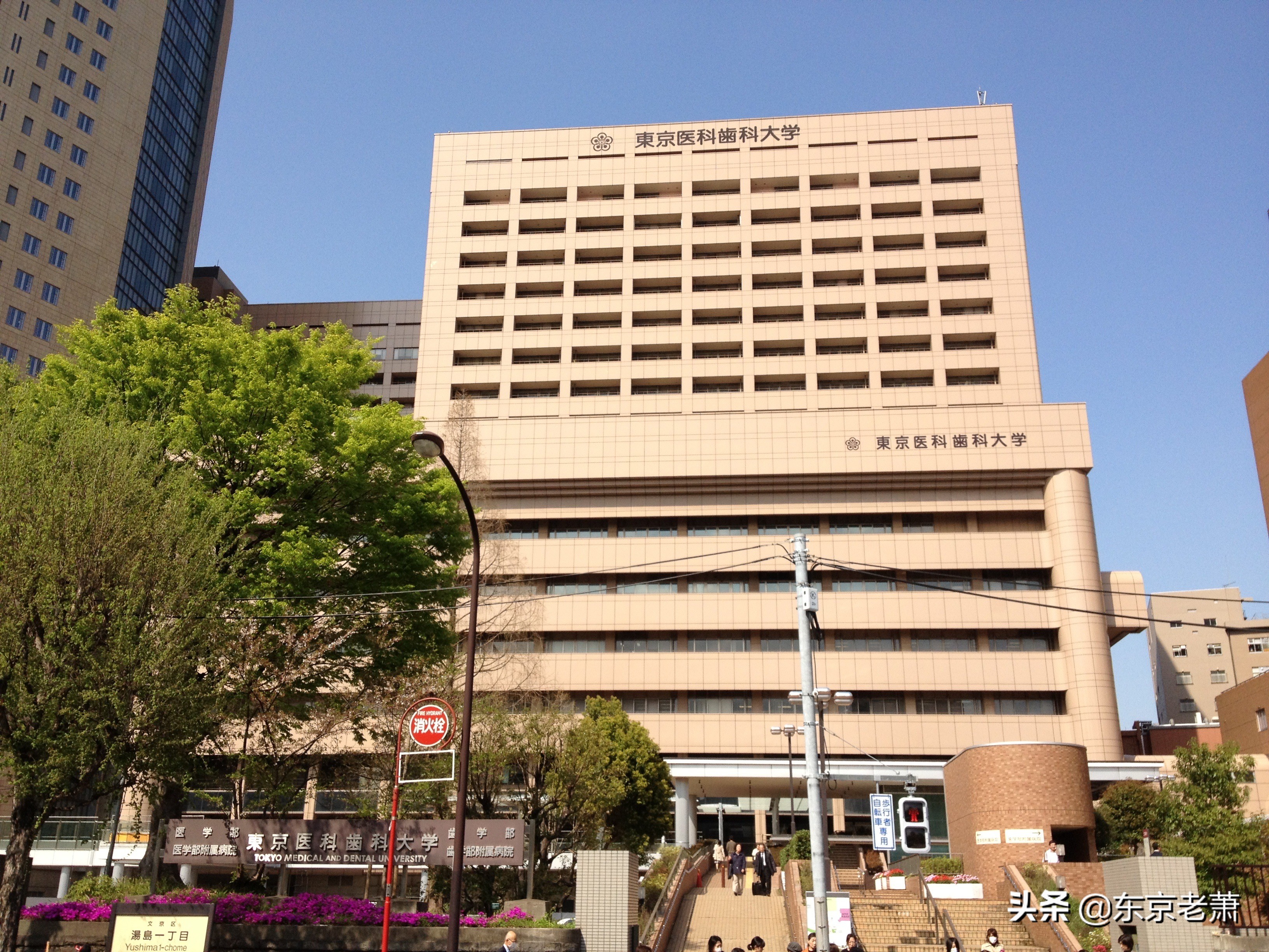 十年东京华人老炮解析——东京23区图鉴