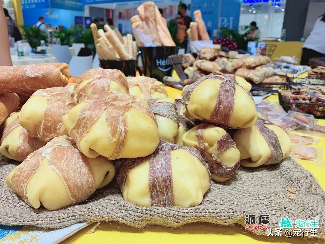 2020CIPS宠物展于广州开展，一大波萌物正在靠近