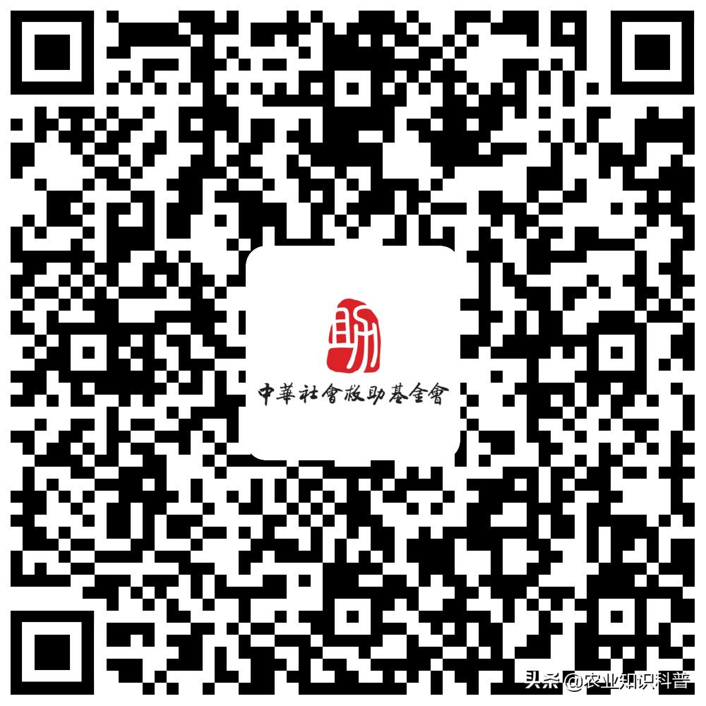 10个多月宝宝得病后续,10岁男孩患重病