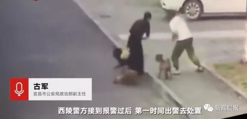 与狗狗玩耍时不小心被狗狗刮伤,养狗不拴绳一家三口遭恶犬咬伤