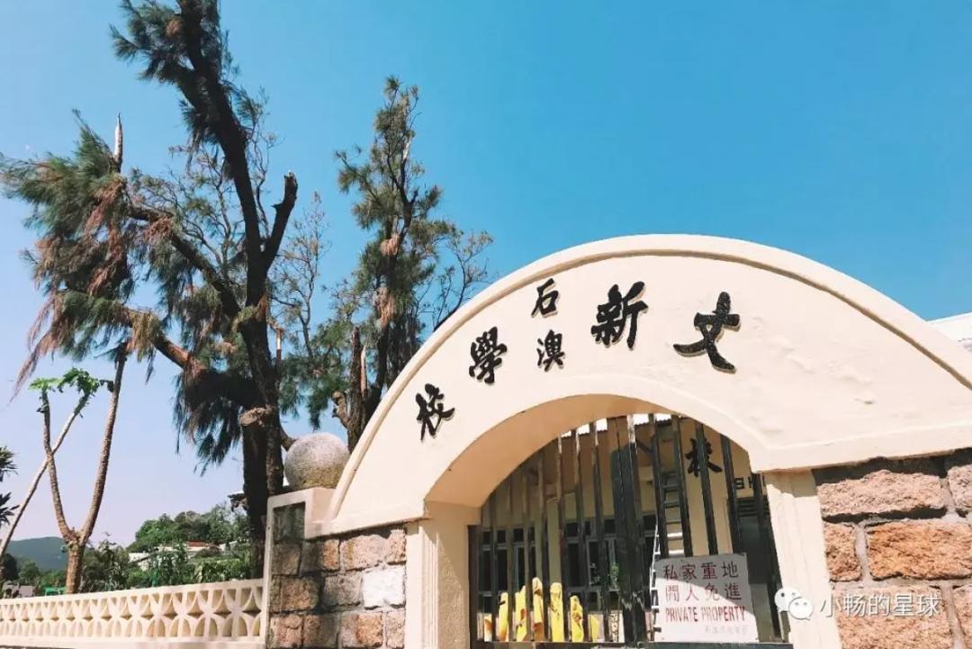 喜宝被老头打后续,喜宝喜欢石澳岛吗