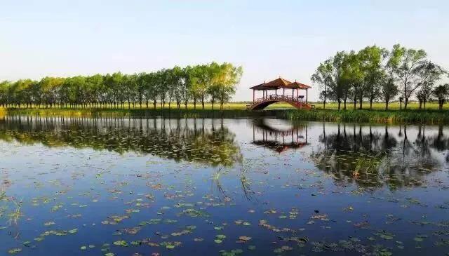 深圳花海公园推荐景点有哪些,深圳花海公园地址在哪里