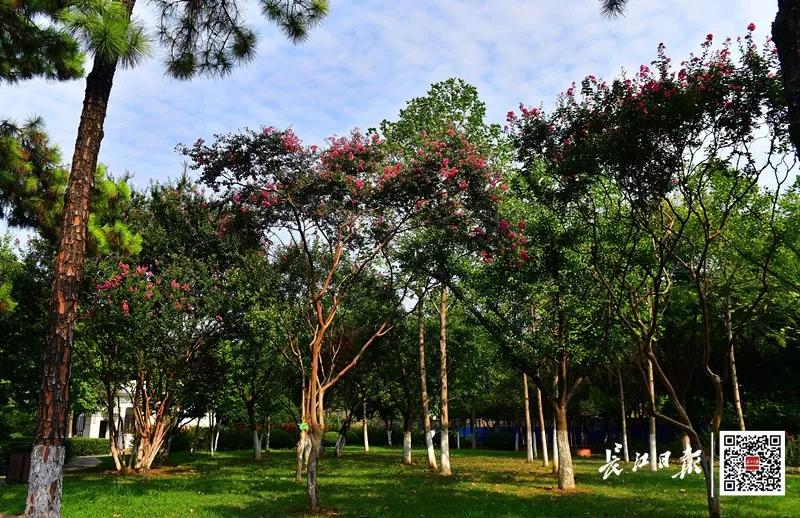 汉口江滩公园闭园了吗,武汉废弃公园最新消息