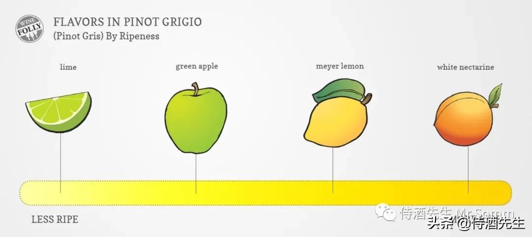 罗马生活灰皮诺干白葡萄酒,三款葡萄酒