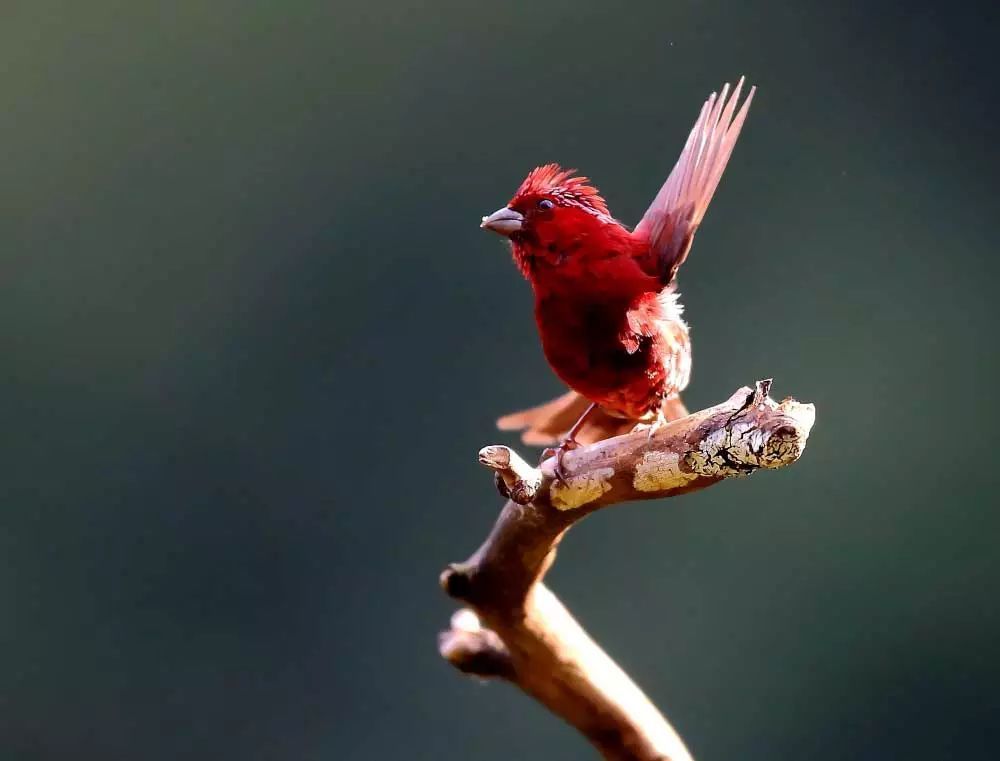 拥有这“二多二少”，你就是个幸福的人