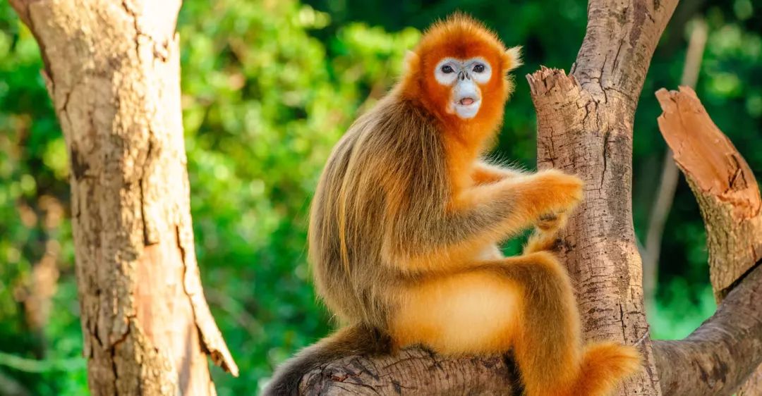 春节广州周边温泉游攻略,自由行广州温泉旅游攻略