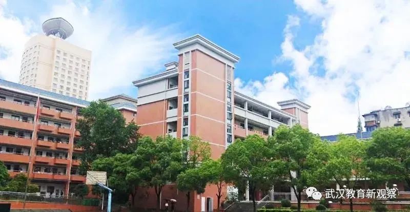 初中各科宝藏资料库,武昌区重点小学排名前十名