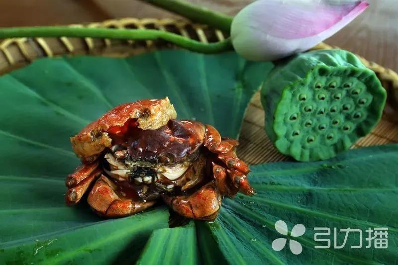 苏州春天第一鲜上市,苏州6月份美食推荐