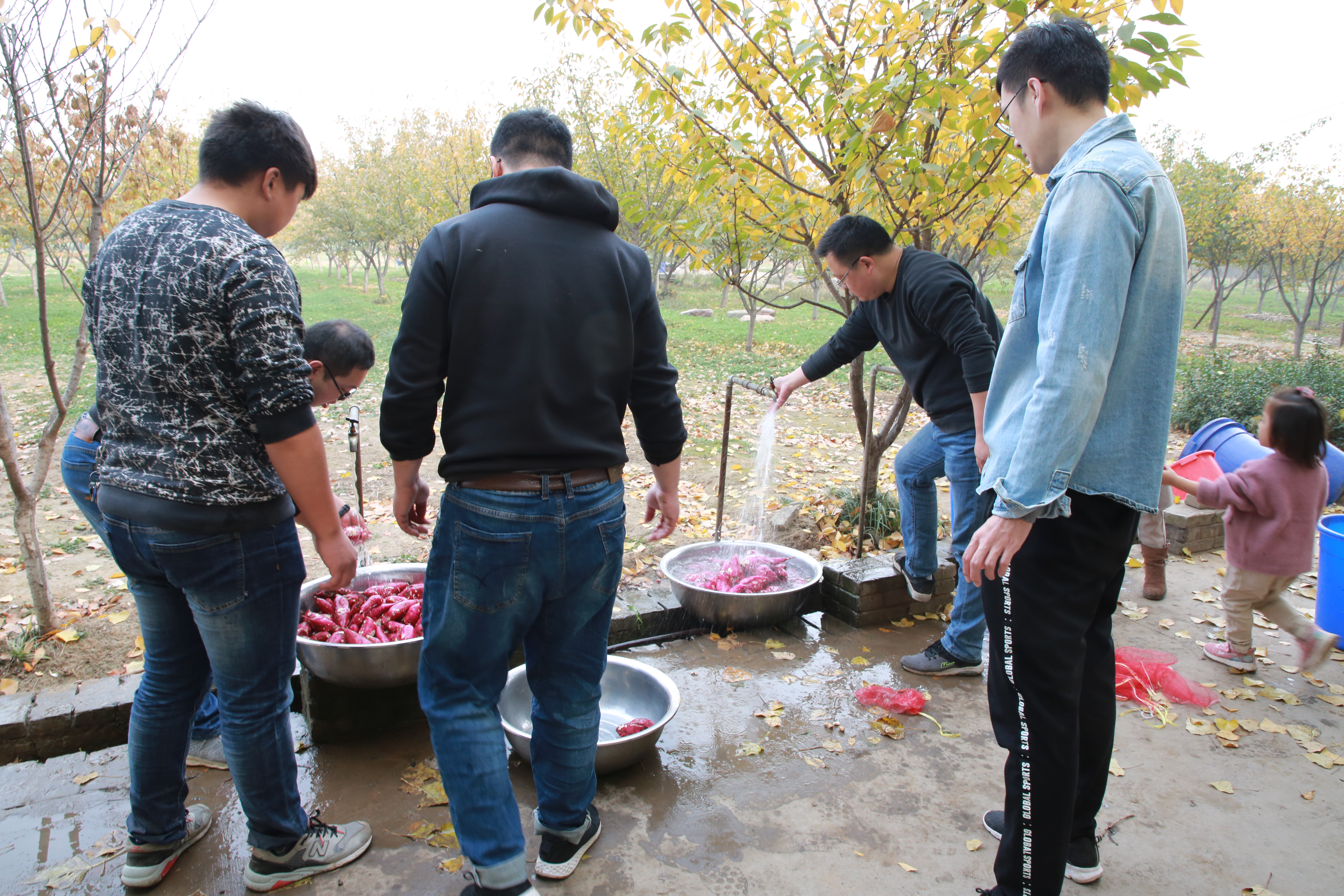 浩宇农庄丛林探险项目都有哪些,安阳殷墟浩宇农庄