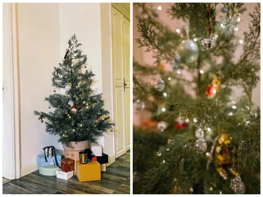 只要小几百就能买到Acne平替,高逼格小*香众**薰和王一博同款