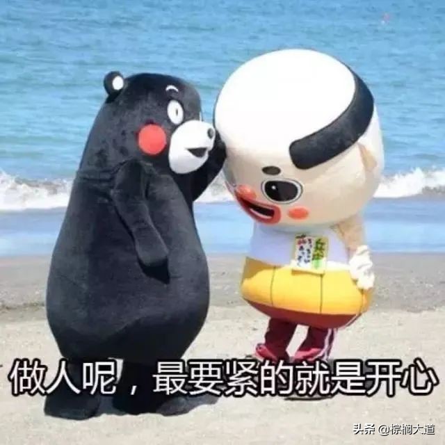 保研了还能出国留学吗,保研985和出国留学选哪个