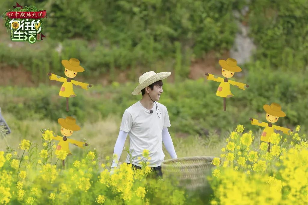 电视剧向往的生活在哪拍的取景地,电视剧向往的生活取景地