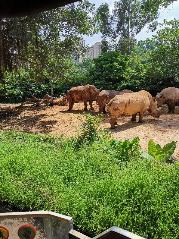 番禺长隆野生动物酒店住宿攻略,广州动物园和长隆野生动物世界