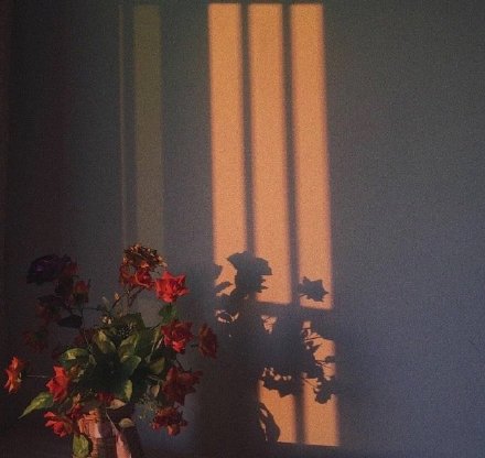 宝妈做啥兼职比较赚钱,有什么宝妈可以在家做的兼职