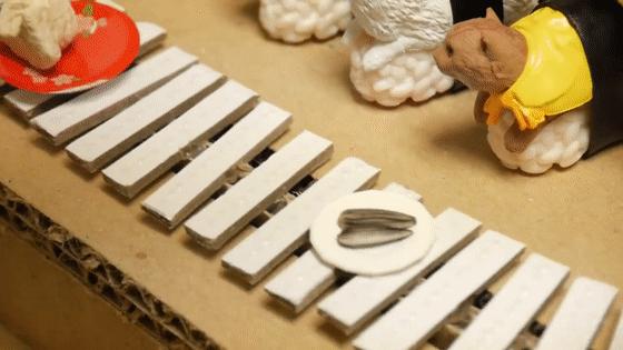 超可爱动物吃播治愈70万人，仓鼠、小熊猫、鹦鹉萌翻全网