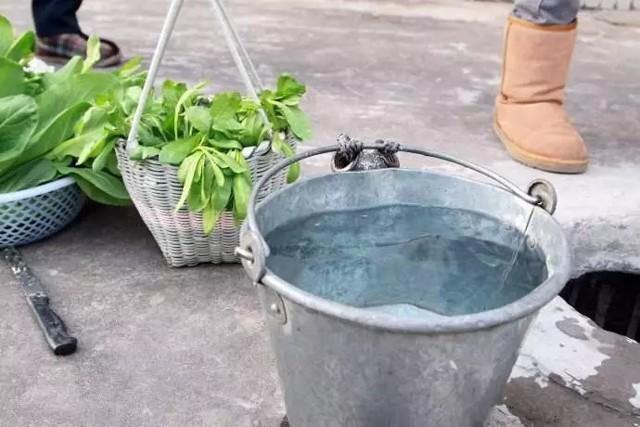 普洱沱茶生茶怎么泡好喝,菊花金银花茶怎么泡好喝