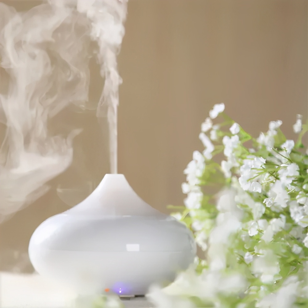 石家庄人注意最新放假通知来啦,石家庄人免费福利有哪些