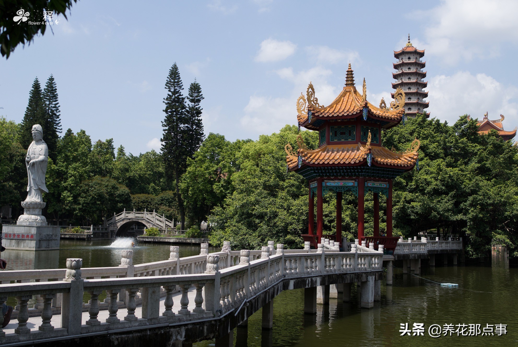 福州最新旅游攻略自由行攻略,去福州旅游自由行攻略最新