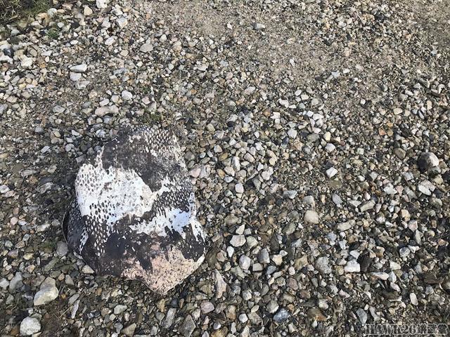 迷彩伪装效果图片,美军acu迷彩服伪装效果