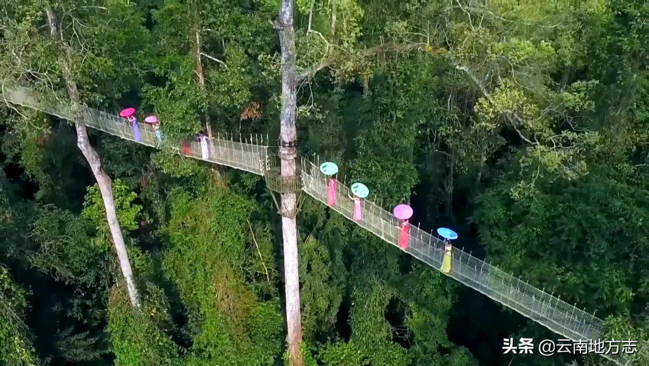 缇庡搲浜戝崡鍏ㄩ儴瑙嗛,缇庡搲浜戝崡鍓х収