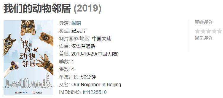 央视拍这种片怎么就没「流量」