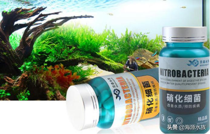 鱼缸的硝化细菌是靠什么建立的,鱼缸硝化细菌能用不同种类的