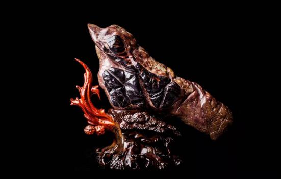 都是些什么“鸟石”？保证有你好看