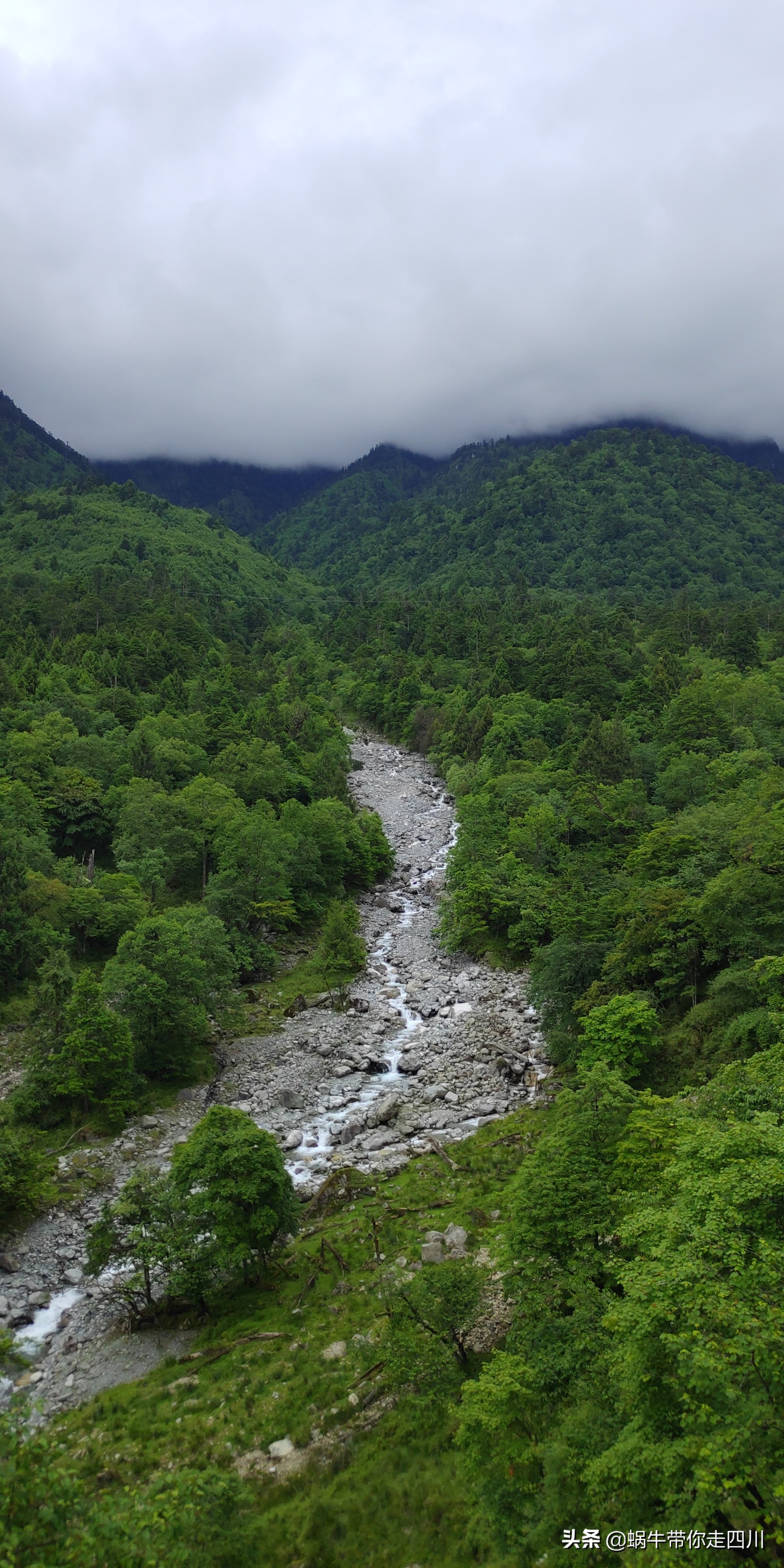 带小朋友出去看小动物,带小孩去海洋动物园