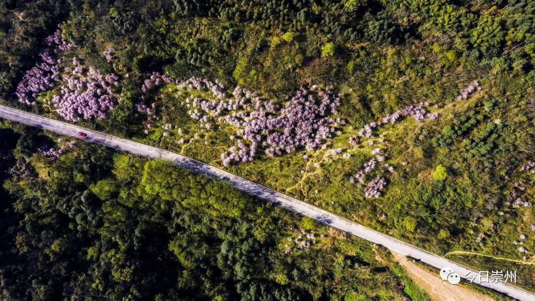 崇州市区看雪山,崇州看雪山
