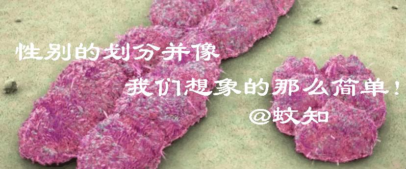 男性会没有y染色体吗,男性有可能没有y染色体吗