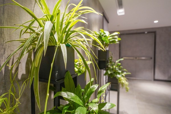 白云机场转机酒店,白云机场有免费中转酒店吗