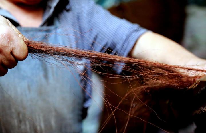 俗话说;“千棵棕万棵桐,子子孙孙都不穷”,为什么这样说?