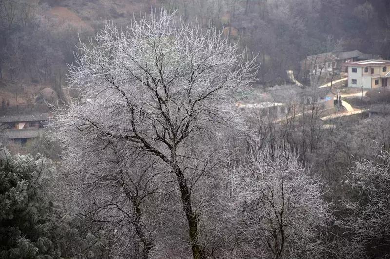 关于陇南的历史故事,讲述甘肃历史的纪录片