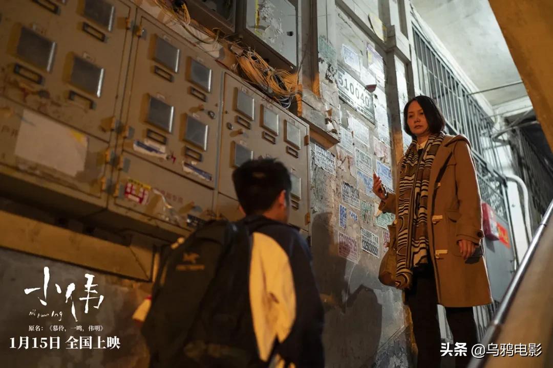 横扫电影节奖项,横扫国际影展