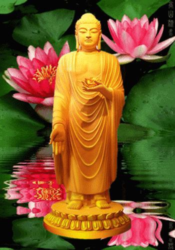 佛光普照保佑你图片,求佛祖保佑愿佛光普照普渡众生